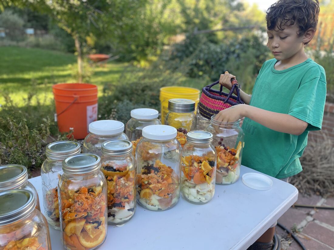 Adding berries to jars
